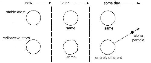 Stable atom and Radioactive atom